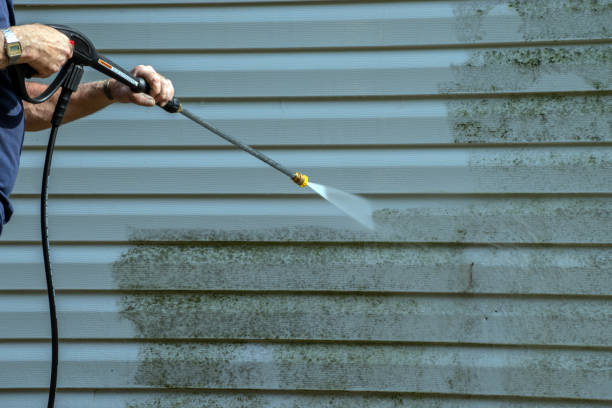 Best Building Exterior Washing  in Sigourney, IA